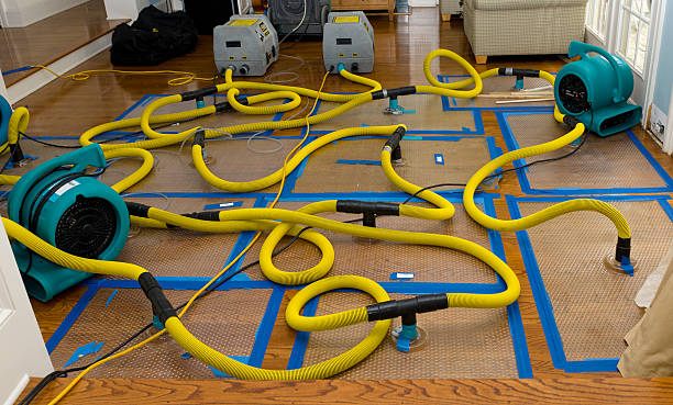 Professional Sewage Cleanup technician working in Carson, IA